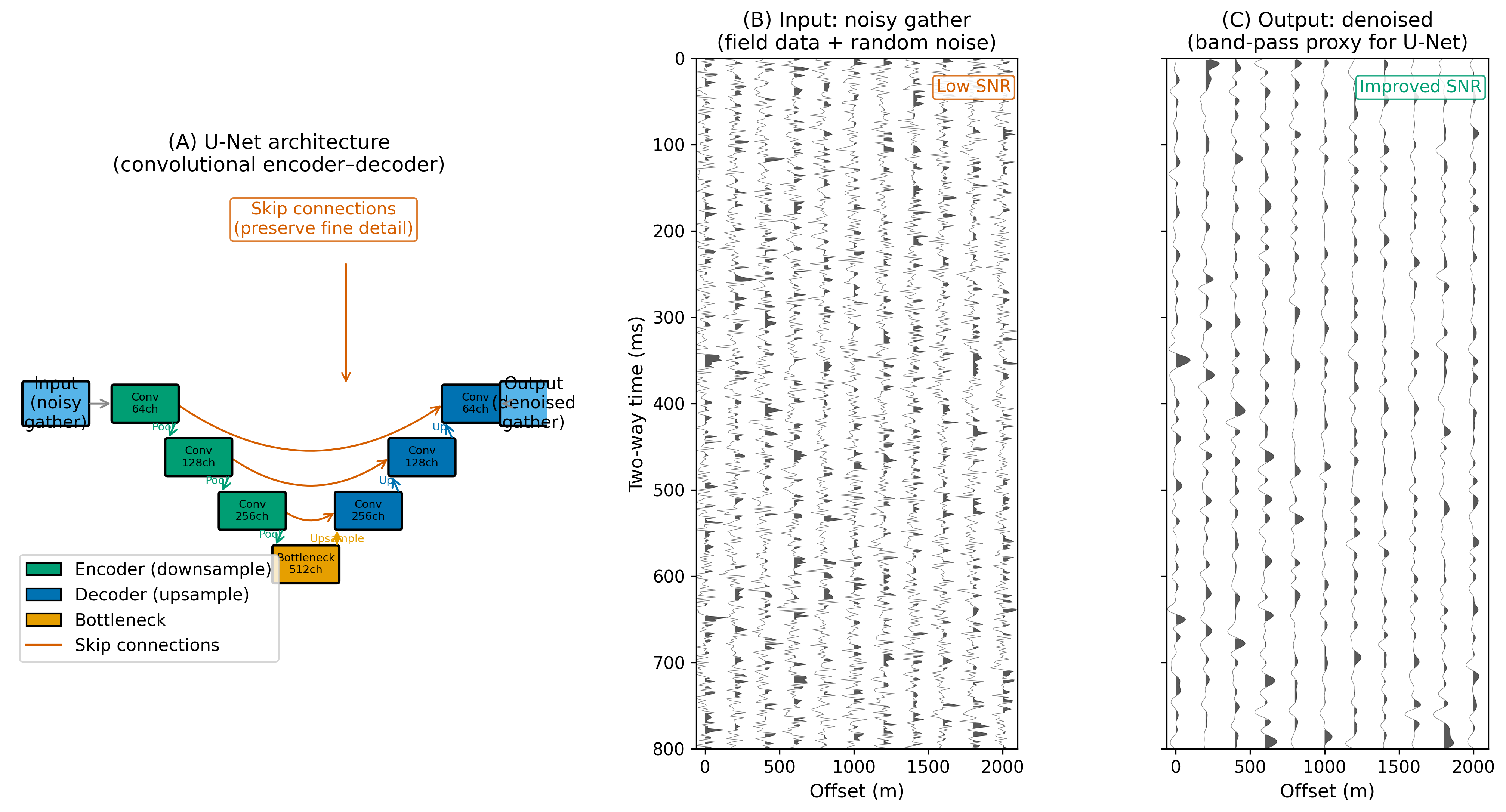 alt text: Three-panel figure showing (A) U-Net schematic with encoder green blocks bottleneck orange decoder blue and red skip connections; (B) noisy synthetic CMP gather; (C) denoised gather with improved SNR